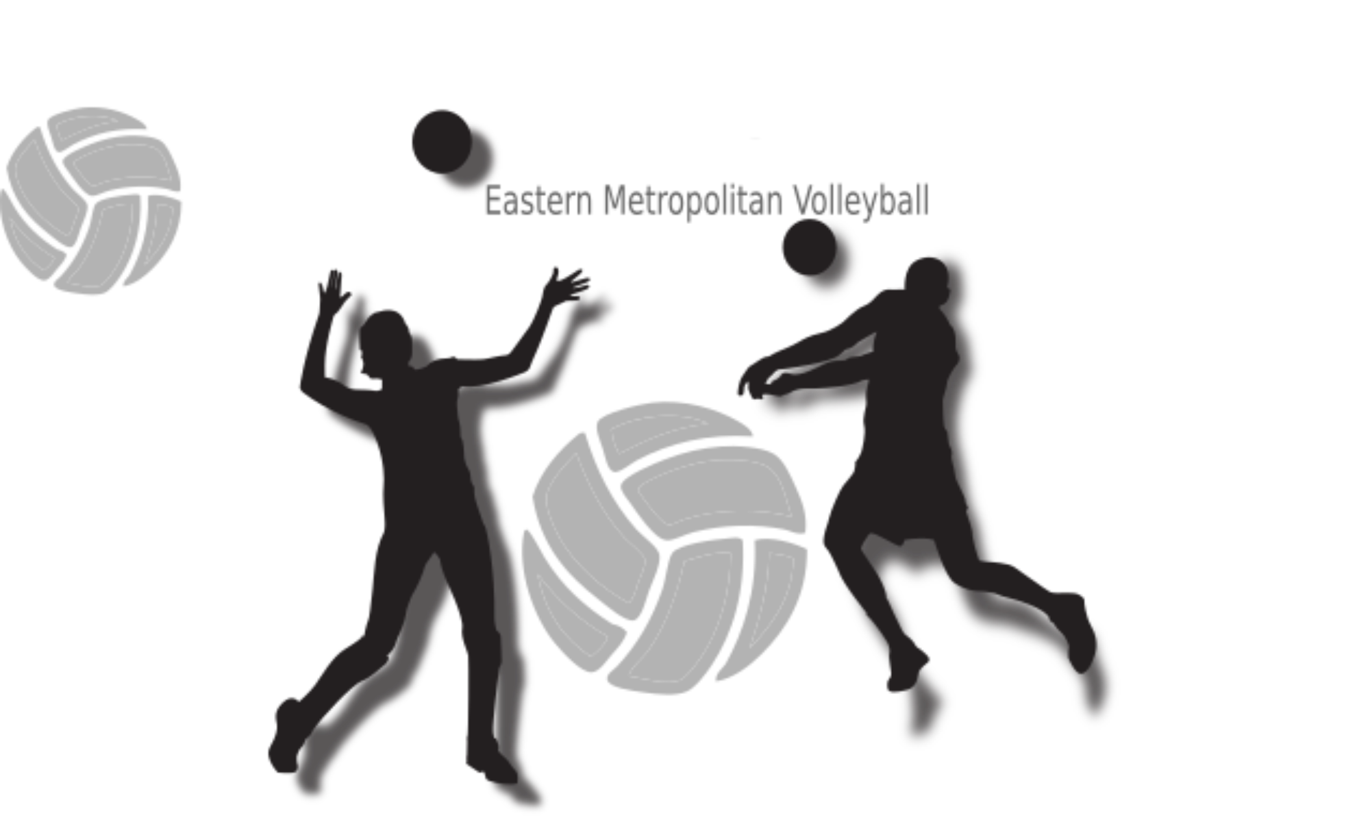 Eastern Metropolitan Volleyball Association